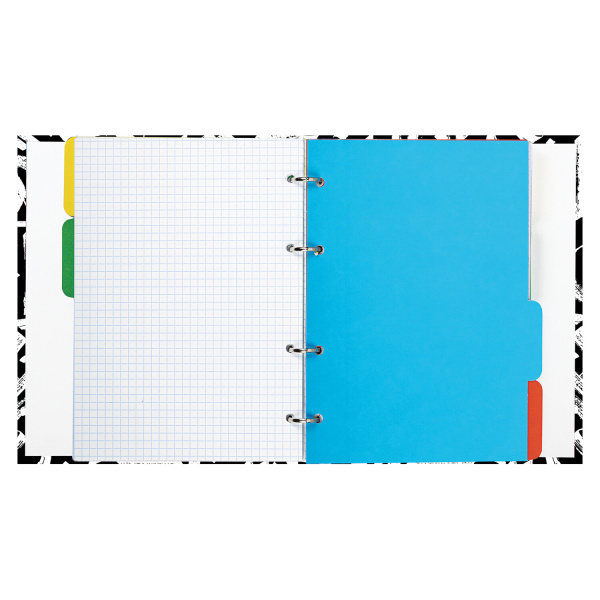 Тетрадь на кольцах А5 (175х215мм) 240л. BRAUBERG "Calligrap, твердый картон, клетка, с разделителями