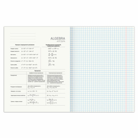 Тетрадь предметная "SPORT CLUB" 48 л., обложка картон, АЛГЕБРА, клетка, подсказ, BRAUBERG