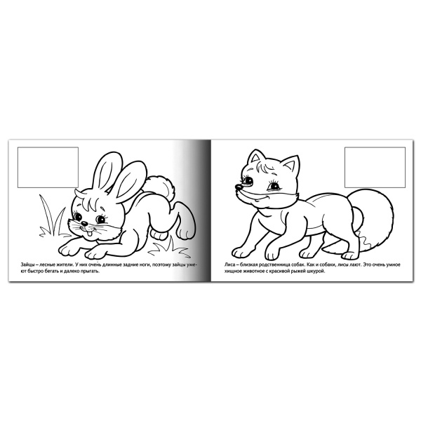 Книжка-раскраска А5, 4 л., HATBER с наклейками, Мои первые уроки, "Дикие животные", 4Р5н 05823, R133