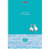 Тетрадь А4 80л. линия  HATBER, обложка картон, "Ассорти" (4 вида в спайке), 80Т4В2гр