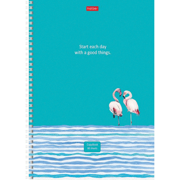 Тетрадь А4 80л. линия  HATBER, обложка картон, "Ассорти" (4 вида в спайке), 80Т4В2гр