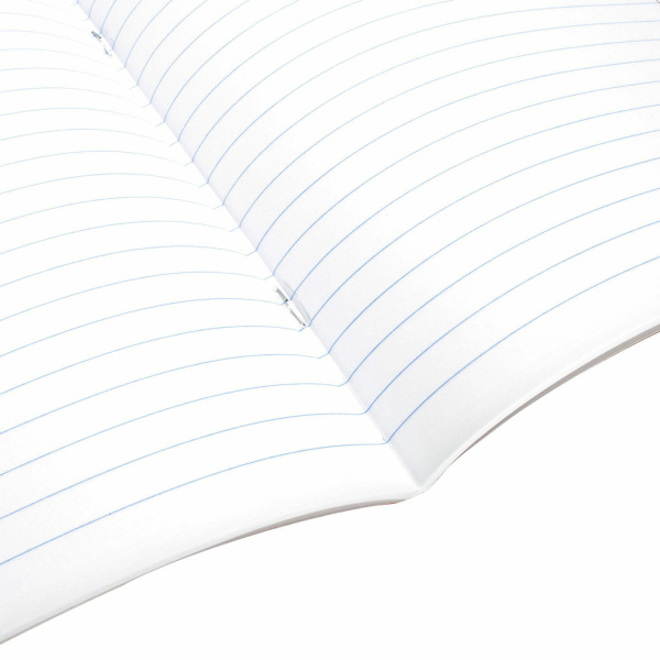 Тетрадь предметная КЛАССИКА NATURE 48л, обложка картон, ЛИТЕРАТУРА, линия, BRAUBERG