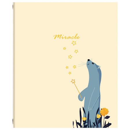 Тетрадь на кольцах А5 (175х215мм) 240л. BRAUBERG "Miracle", твердый картон, клетка