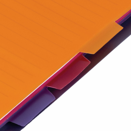 Тетрадь-блокнот A5 (170x215мм) 120л. BRAUBERG "Rich", 4 разделителя, обл.пластик, линия