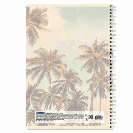 Тетрадь А4 96л. клетка на спирали BRAUBERG, офсет, обложка картон, "Adventures"