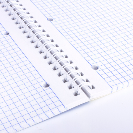 Тетрадь А4 96л. клетка на спирали BRAUBERG, обложка картон, КРАСИВЫЕ ЦВЕТЫ