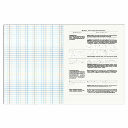 Тетрадь предметная SPORT CLUB 48л, обложка картон, БИОЛОГИЯ, клетка, подсказ, BRAUBERG