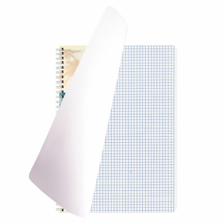 Тетрадь А4 96л. клетка на спирали BRAUBERG, офсет, обложка картон, "Adventures"