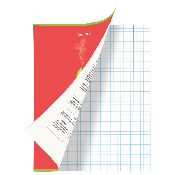 Тетрадь предметная AVOCADO 48л, глянцевый лак, ХИМИЯ, клетка, подсказ, BRAUBERG