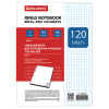 Сменный блок к тетради на кольцах А5 120л. BRAUBERG, Белый