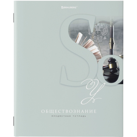Тетради предметные, КОМПЛЕКТ 12 ПРЕДМЕТОВ, ПАСТЕЛЬНАЯ, 48л, обложка картон, BRAUBERG