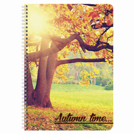 Тетрадь А4 96л. клетка на спирали BRAUBERG, офсет, обложка мелованный картон, "4 сезона"