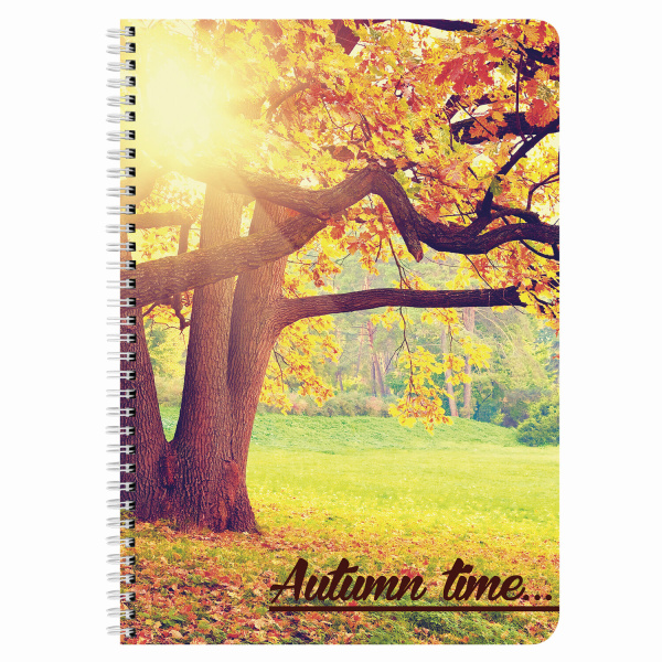 Тетрадь А4 96л. клетка на спирали BRAUBERG, офсет, обложка мелованный картон, "4 сезона"