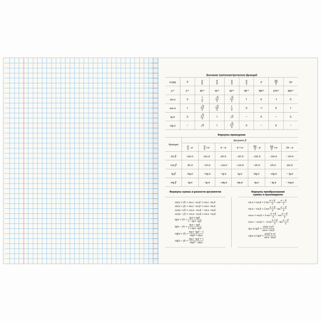 Тетради предметные, КОМПЛЕКТ 12 ПРЕДМЕТОВ, 48л, обложка картон, BRAUBERG VISION