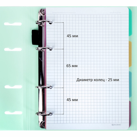 Тетрадь на кольцах А5 (175х220мм) 120л. BRAUBERG "Мятный", пластик, на липучке, с разделителями