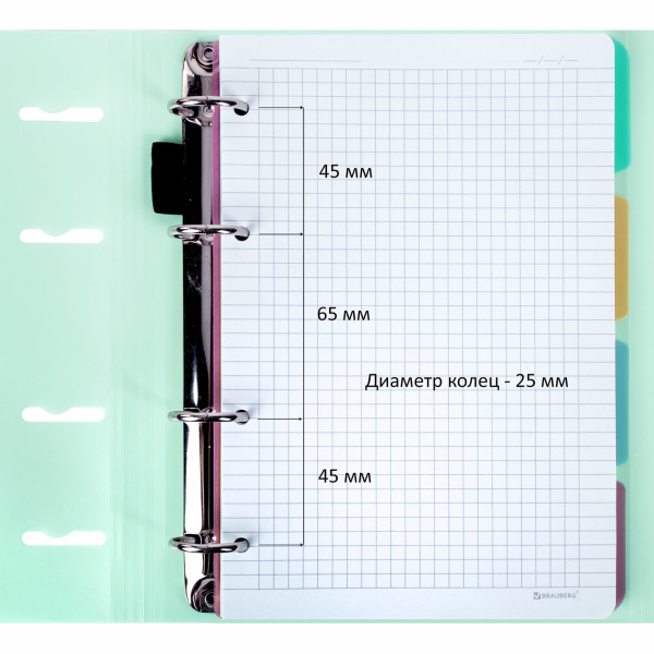 Тетрадь на кольцах А5 (175х220мм) 120л. BRAUBERG "Мятный", пластик, на липучке, с разделителями
