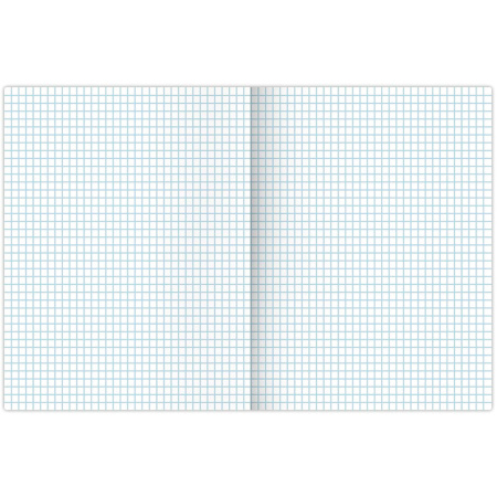 Тетрадь А4 48л. клетка BRAUBERG, скоба, обложка картон, TRAVEL