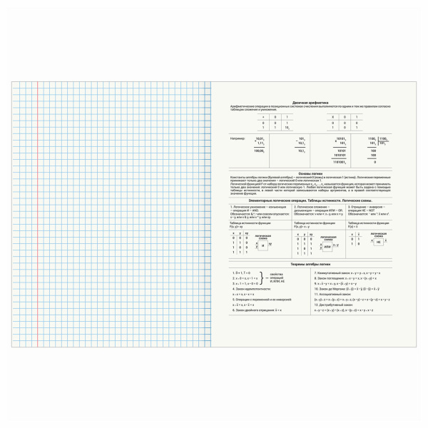 Тетрадь предметная КЛАССИКА NATURE 48л, обложка картон, ИНФОРМАТИКА, клетка, BRAUBERG