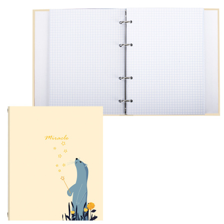 Тетрадь на кольцах А5 (175х215мм) 240л. BRAUBERG "Miracle", твердый картон, клетка