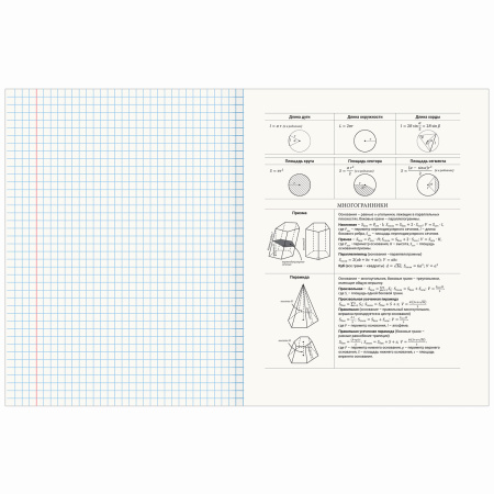 Тетрадь предметная AVOCADO 48л, глянцевый лак, ГЕОМЕТРИЯ, клетка, подсказ, BRAUBERG