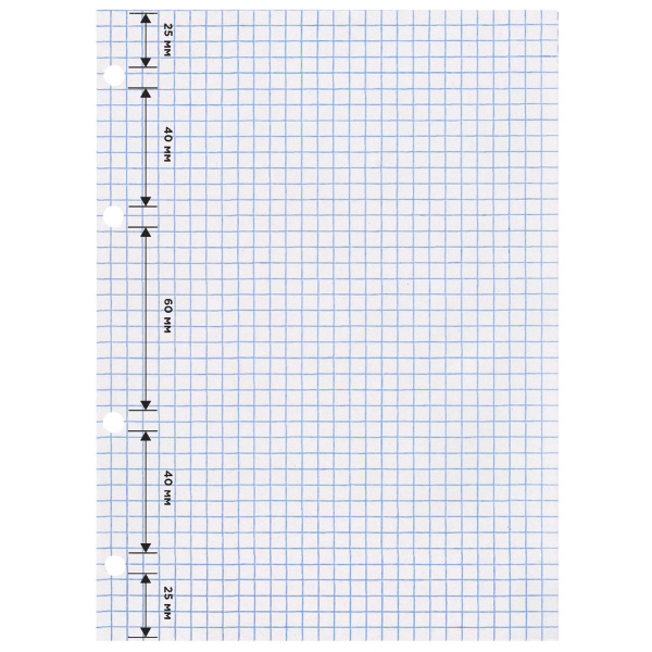 Сменный блок к тетради на кольцах А5 160л. STAFF, Белый