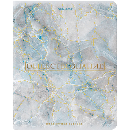 Тетради предметные, КОМПЛЕКТ 10 ПРЕДМЕТОВ, PASTEL, 48л, SoftTouch, фольга, BRAUBERG
