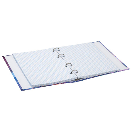 Тетрадь на кольцах А5 (165х215мм) 120л. BRAUBERG "Travel", твердый картон, клетка