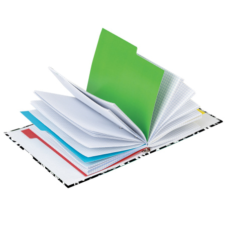 Тетрадь на кольцах А5 (175х215мм) 240л. BRAUBERG "Calligrap, твердый картон, клетка, с разделителями