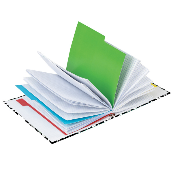 Тетрадь на кольцах А5 (175х215мм) 240л. BRAUBERG "Calligrap, твердый картон, клетка, с разделителями