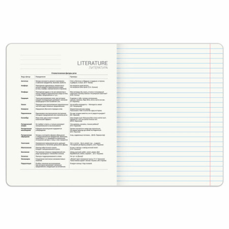 Тетрадь предметная PIGMENT 48 л., глянцевый УФ-лак, ЛИТЕРАТУРА, линия, подсказ, BRAUBERG