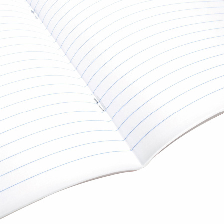 Тетрадь предметная СИЯНИЕ ЗНАНИЙ 48л, глянцевый УФ-лак, ЛИТЕРАТУРА, линия, BRAUBERG