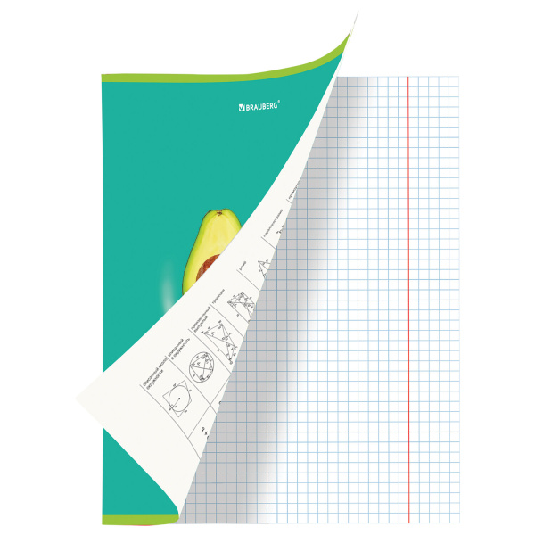 Тетрадь предметная AVOCADO 48л, глянцевый лак, ГЕОМЕТРИЯ, клетка, подсказ, BRAUBERG