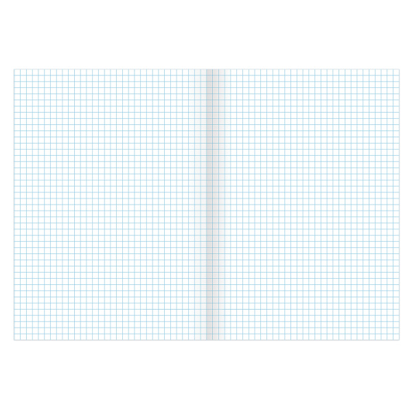 Тетрадь А4 96л. клетка BRAUBERG, офсет, обложка картон, ЗАМКИ