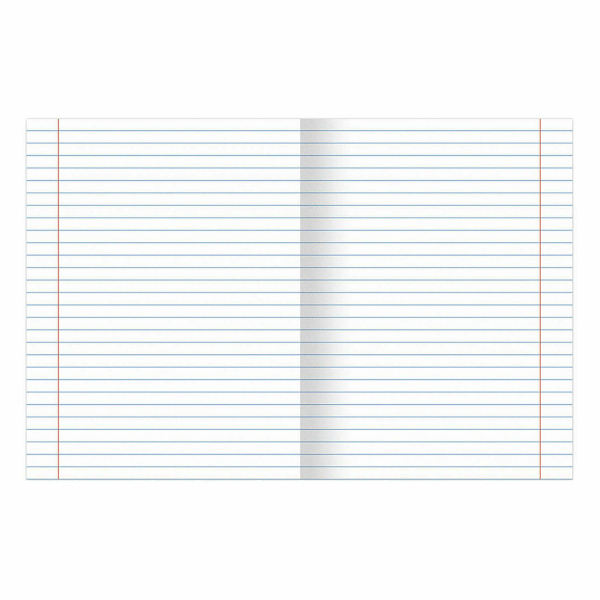 Тетрадь предметная КЛАССИКА NATURE 48л, обложка картон, ЛИТЕРАТУРА, линия, BRAUBERG