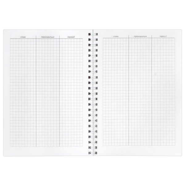 Тетрадь-словарик А5 48л. BRAUBERG для записи английских слов, гребень, клетка, BRAUBERG, справка