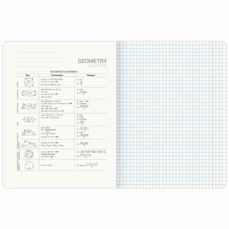 Тетрадь предметная PASTEL 48л, SoftTouch, фольга, ГЕОМЕТРИЯ, клетка, подсказ, BRAUBERG