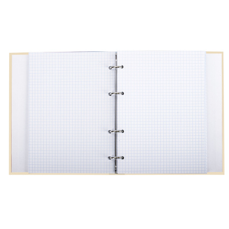 Тетрадь на кольцах А5 (175х215мм) 240л. BRAUBERG "Miracle", твердый картон, клетка