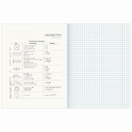 Тетрадь предметная AVOCADO 48л, глянцевый лак, ГЕОМЕТРИЯ, клетка, подсказ, BRAUBERG