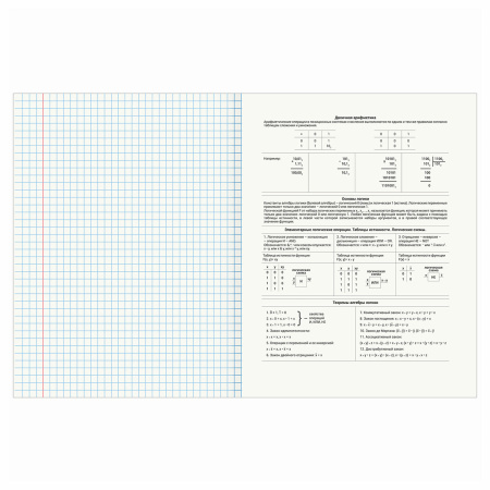 Тетрадь предметная DELIGHT 48л, обложка картон, ИНФОРМАТИКА, клетка, BRAUBERG