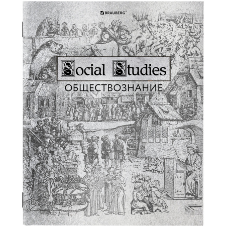 Тетради предметные, КОМПЛЕКТ 12 ПРЕДМЕТОВ, SILVER, 48л, С СЕРЕБРЯНОЙ ОБЛОЖКОЙ, BRAUBERG