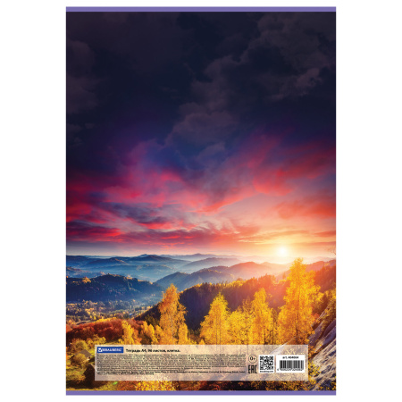 Тетрадь А4 96л. клетка BRAUBERG, офсет, обложка картон, "Journey"