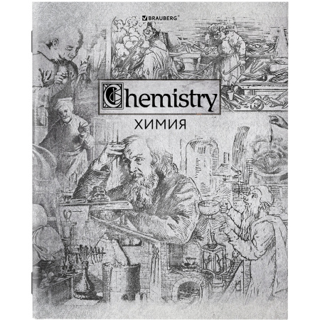 Тетради предметные, КОМПЛЕКТ 12 ПРЕДМЕТОВ, SILVER, 48л, С СЕРЕБРЯНОЙ ОБЛОЖКОЙ, BRAUBERG