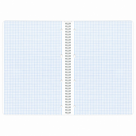 Тетрадь А4 96л. клетка на спирали BRAUBERG, обложка картон, КРАСИВЫЕ ЦВЕТЫ