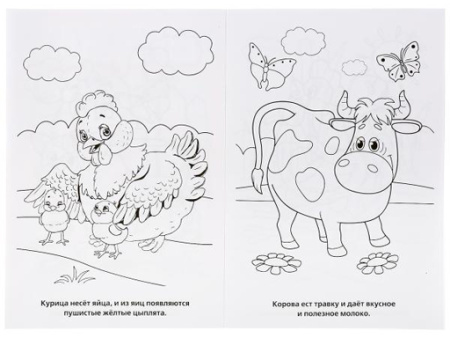 224515 Домашние животные.Первая раскраска малый формат.Формат:145х210 мм. Объем:16 стр.Умка в к.50шт