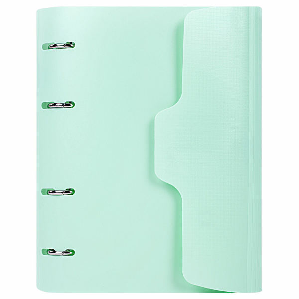 Тетрадь на кольцах А5 (175х220мм) 120л. BRAUBERG "Мятный", пластик, на липучке, с разделителями