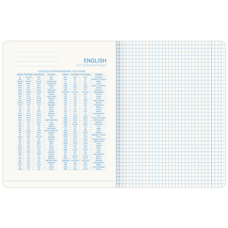 Тетрадь предметная со справочным материалом ORIGINAL 48 л., TWIN лак, АНГЛИЙСКИЙ ЯЗЫК, клетка, BRAUB