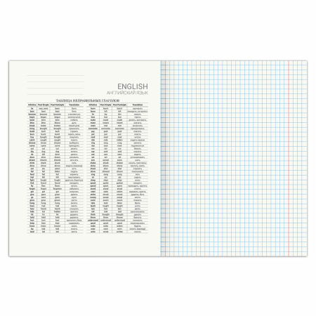 Тетрадь предметная SPORT CLUB 48л, обложка картон, АНГЛИЙСКИЙ ЯЗЫК, клетка, подсказ, BRAUBERG