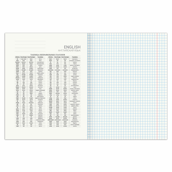 Тетрадь предметная SPORT CLUB 48л, обложка картон, АНГЛИЙСКИЙ ЯЗЫК, клетка, подсказ, BRAUBERG