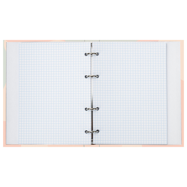 Тетрадь на кольцах А5 (175х215мм) 120л. BRAUBERG "Девушка", твердый картон, клетка