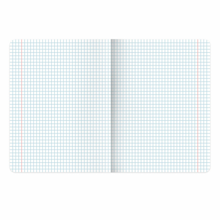 Тетрадь предметная ELEGANCE 48л, SoftTouch, фольга, ХИМИЯ, клетка, BRAUBERG